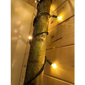 Cordlight professioneel 63m 420 led WW+ in een boom vastgeknoopt